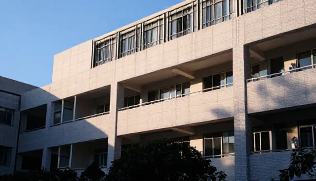 网站建设什么公司好,平台稳定性是关键